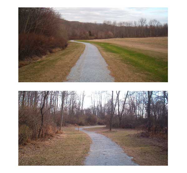 Mansfield Park Trail